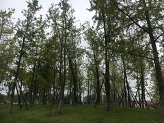 -府河摄影公园