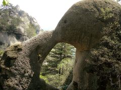 -六里坪国家森林公园