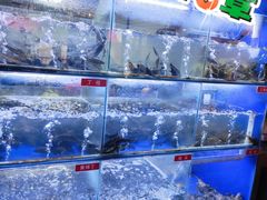 -石锅苗苗鱼(武汉首店)
