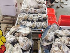 -蚝专家(北滘店)