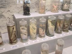 -北京中医药大学-中医药博物馆