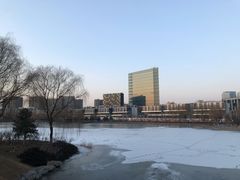 -大兴滨河森林公园