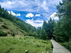 -苏木山森林公园