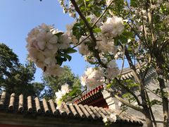 -北京植物园南门售票处