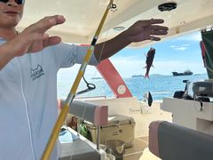 -小猫钓鱼海钓俱乐部(椰梦长廊店)