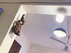 -杨记小炒老店