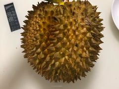 -坂田天虹