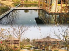 -东海森林温泉