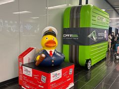 -维也纳国际机场