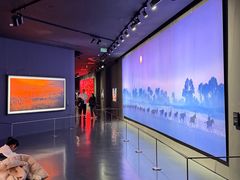 -罗红摄影艺术馆