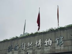 -陕西自然博物馆