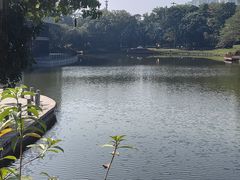 -深圳国际园林花卉博览园