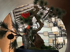 -小瓦巷·南京本帮菜(万达茂店)