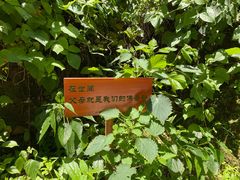 -寂照庵