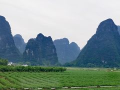 -钟山水墨田园