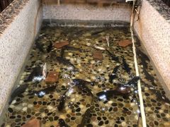 -白洋淀灶台鱼(名佳花园店)