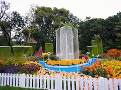 -上海共青森林公园