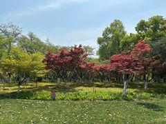 -范蠡湖公园