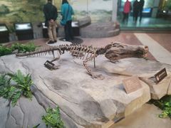 -自贡恐龙博物馆