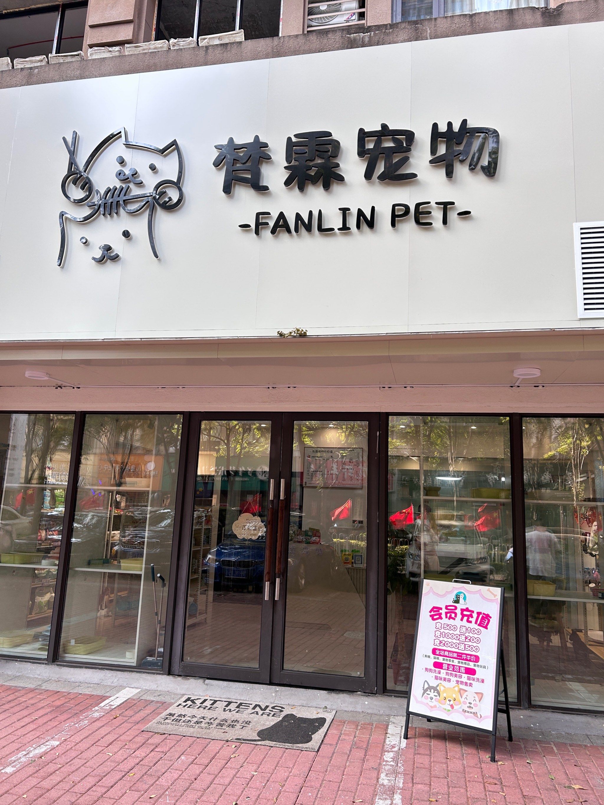 在红谷滩的一家宠物店,店面不大,但是小猫也挺多的,店里可以撸猫,逗猫