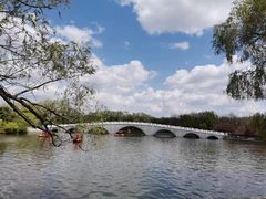 -北陵公园