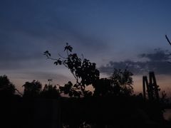 -临汾涝洰河生态公园