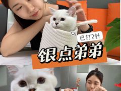 -lincat·猫舍(广州店)