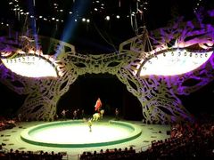 -珠海横琴长隆《卡卡虎奇遇记》