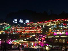 -枇杷园食为鲜火锅(南山店)