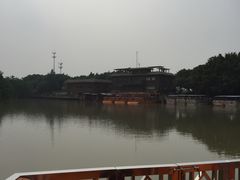 -大湾区中央湿地公园