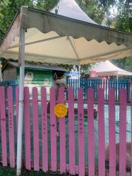 -萌宠亲子动物乐园(槐房万达店)