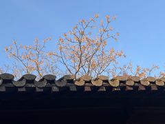 -大潮淮·淮扬菜(何园旗舰店)