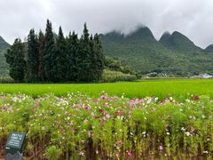 -万峰林风景区