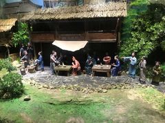 -金花茶公园
