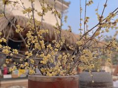 -悦哉·派对·草坪婚礼·围炉煮茶(三圣乡店)