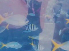 -新加坡水上探险乐园