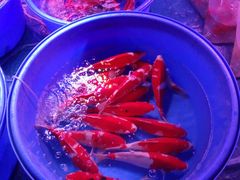 -中环花鸟鱼虫市场