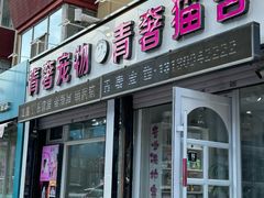 -青奢宠物·青奢猫舍