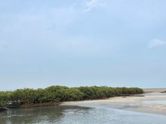 -北海金海湾红树林生态旅游区