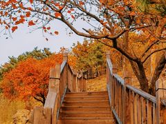 -北京十三陵国家森林公园蟒山景区