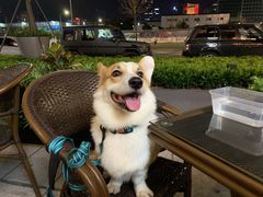 -酒池星座(深圳湾后海汇店)