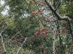 -常州古运河南大街文化旅游区-人民公园