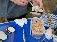 -桤木河湿地公园