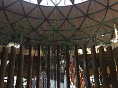 -上海滴水湖皇冠假日酒店