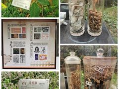 -广州神农草堂中医药博物馆