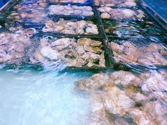 -青石桥市场北1-27号