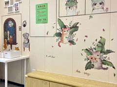 -芭比堂动物医院·24小时·眼科中心(深圳中心)