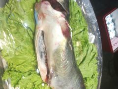 -惠宾饭庄(千禧店)