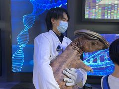-侏罗纪世界电影特展(广州站)