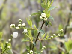 -天台山赤城山景区